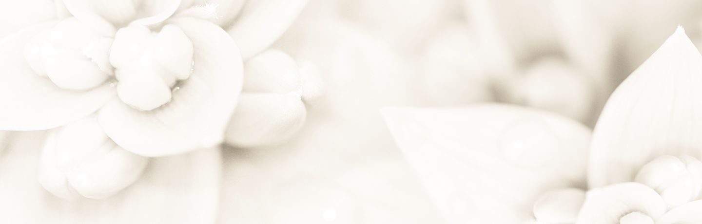 Wingmen, Shipmates, & Battle Buddies